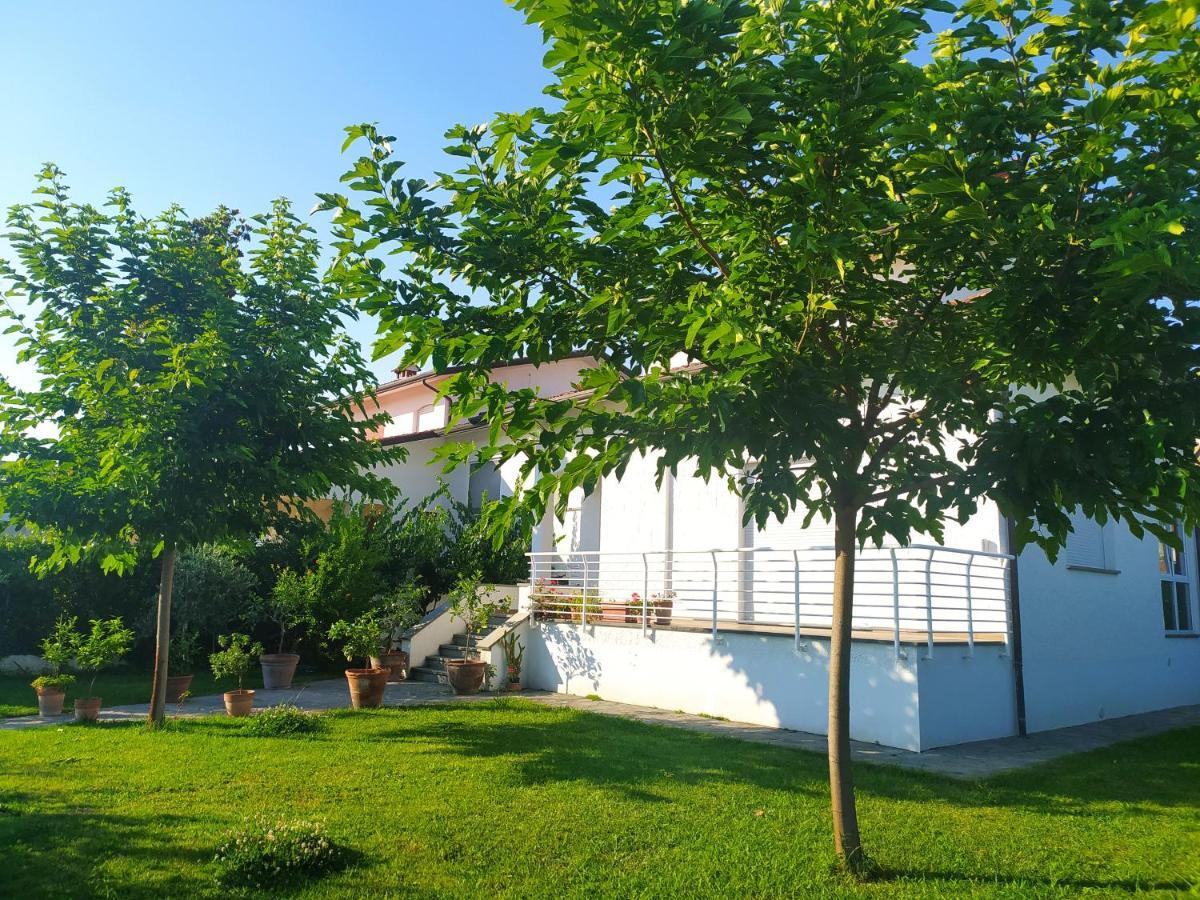 B&B Villa La Bouganville Camaiore Exterior foto